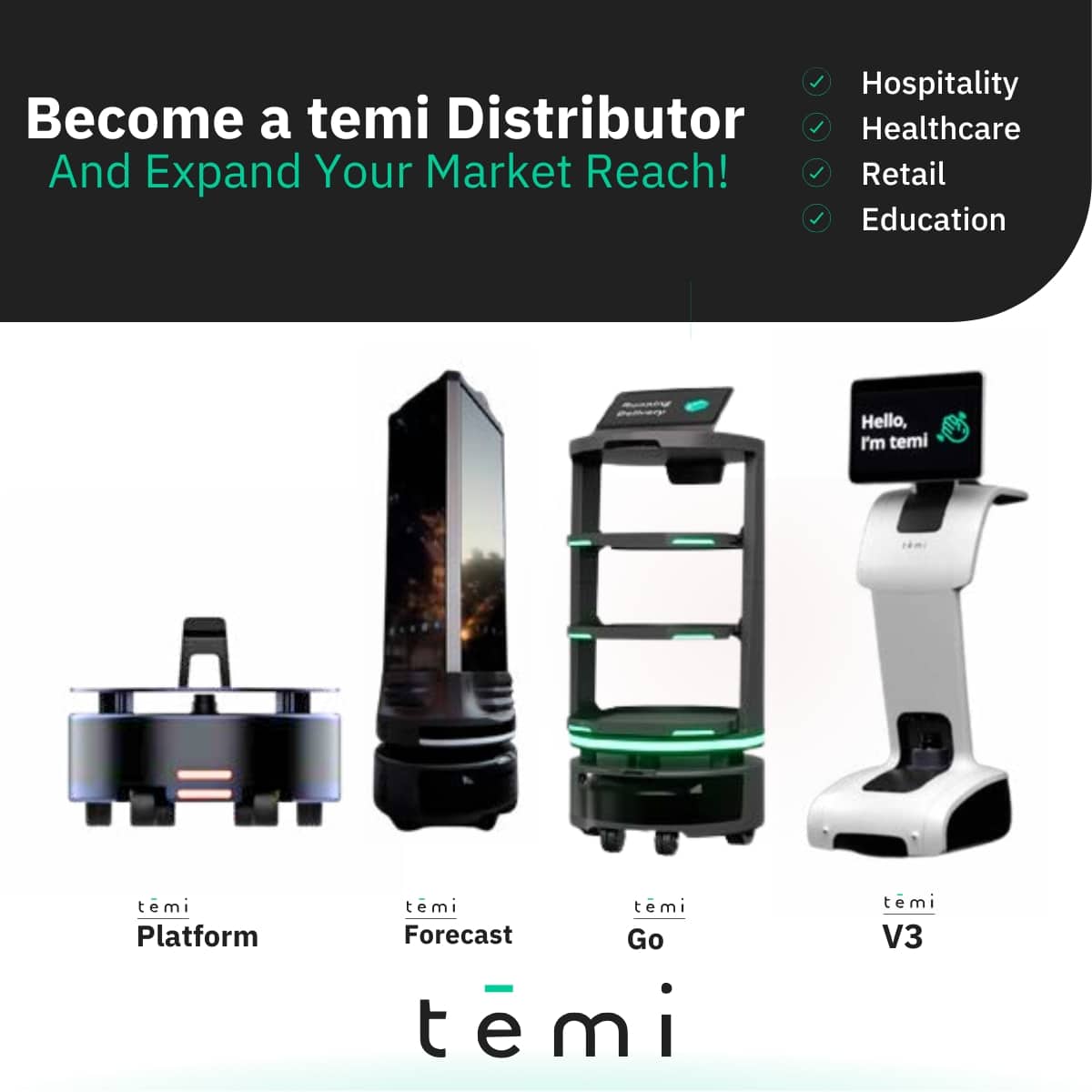 Temi (12)