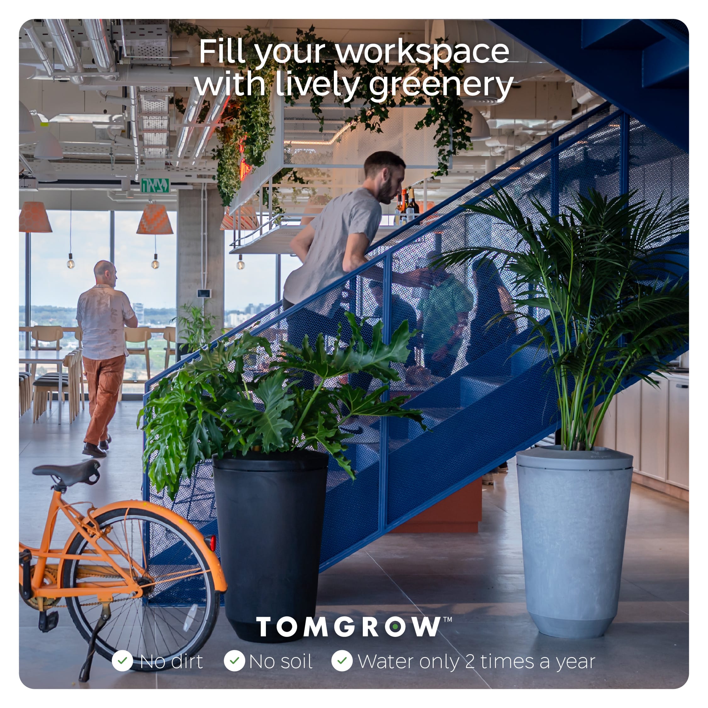 TomGrow_AD_June_V2_06